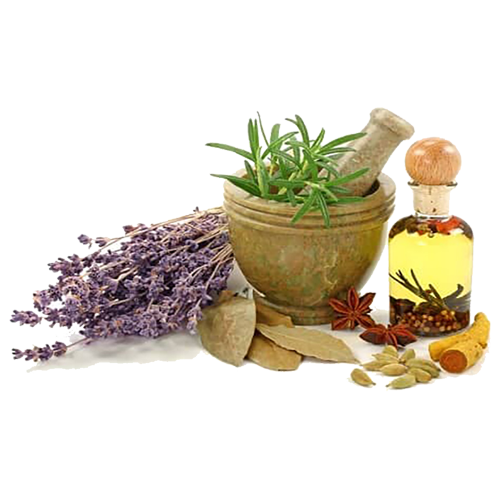 عطاری و گیاهان داروئی