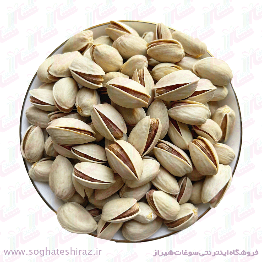 پسته اکبری ممتاز خام ۵۰۰ گرمی